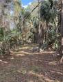 1750 Tomoka Farms Rd - Photo 15