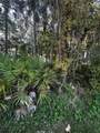 55 Sea Breeze Trail - Photo 5