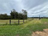 14435 Andalusia Trail - Photo 9