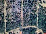 Lot 29 Sw 57Th Avenue - Photo 1