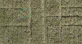 XXX W. Deep Creek Blvd Boulevard - Photo 1