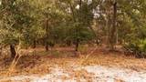 95 Pinto Lane - Photo 11