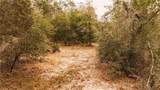 95 Pinto Lane - Photo 14