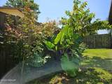 41 Laurel Oaks Circle - Photo 10