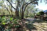 3732 Berenstain Drive - Photo 46