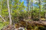45 Laguna Forest Trail - Photo 85