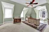 48 Audubon Lane - Photo 57