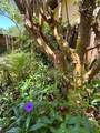 20 Blakeshire Place - Photo 32