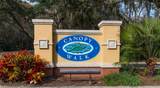 1100 Canopy Walk Lane - Photo 2