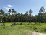 1172 County Road 90 - Photo 13