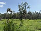 1172 County Road 90 - Photo 14