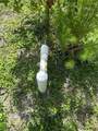 1172 County Road 90 - Photo 17