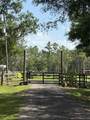 1172 County Road 90 - Photo 4
