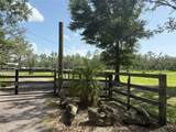 1172 County Road 90 - Photo 6
