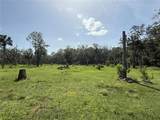 1172 County Road 90 - Photo 9