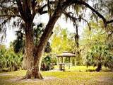 314 Palm Coast Parkway - Photo 7