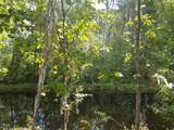 69 Zephyr Lily Trail - Photo 10