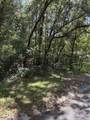 1228 Clover Terrace - Photo 3