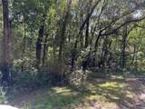 1228 Clover Terrace - Photo 4