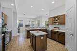 8 Lewis Shire - Photo 40