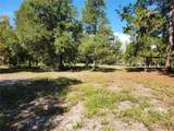 0000 Roos Lane - Photo 12