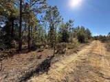 0 Monroe Ave Lot 12-17 - Photo 3