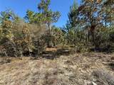 0 Monroe Ave Lot 12-17 - Photo 5