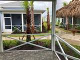 280 Last Mango - Photo 62