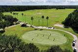 35 Acclaim At Lionspaw - Photo 86