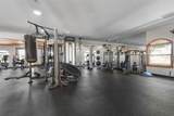 35 Acclaim At Lionspaw - Photo 95