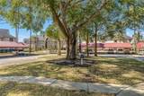 39 Magnolia Drive - Photo 84