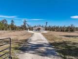 9797 County Road 305 - Photo 13
