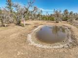 9797 County Road 305 - Photo 35
