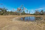 9797 County Road 305 - Photo 66