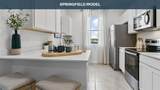 191 Ayamonte Road - Photo 9