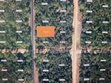 XX Theresa Avenue - Photo 1