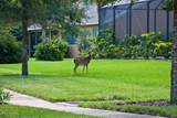 36 Old Oak Drive - Photo 9
