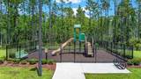 223 Winged Foot Lane - Photo 8