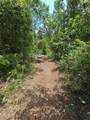 1411 Elder Street - Photo 10