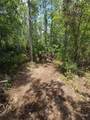 1411 Elder Street - Photo 6