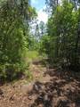 1411 Elder Street - Photo 7