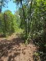1411 Elder Street - Photo 9