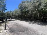 1425 Renbar Road - Photo 12