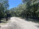 1425 Renbar Road - Photo 13