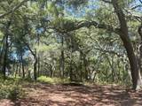 1425 Renbar Road - Photo 4