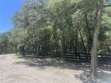1425 Renbar Road - Photo 6