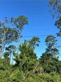 4 Ryberry Drive - Photo 5