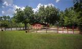 4345 Old Kings Road - Photo 44