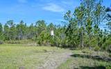 0 Carter Street - Photo 13
