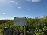11 Sweet Bay Drive - Photo 47
